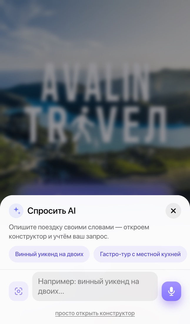 Avalin — путешествия и винные туры с ИИ — мобильный экран 1
